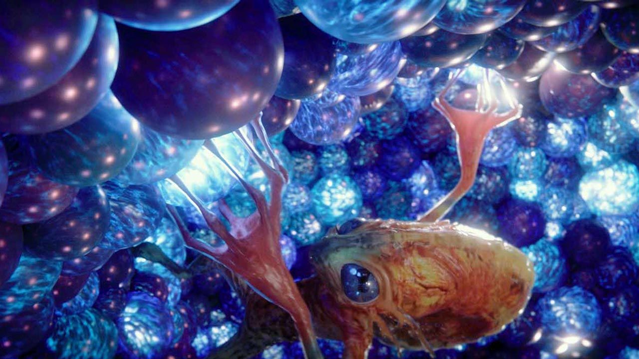 Watch for “Avatar 2” on TV today: one of the most beautiful sci-fi blockbusters since “Avatar”