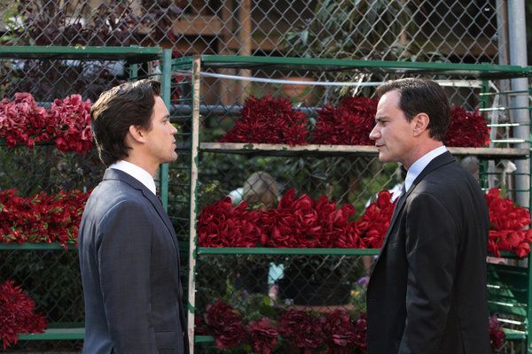 White Collar : Bild Matt Bomer, Tim DeKay