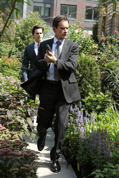 White Collar : Bild Tim DeKay