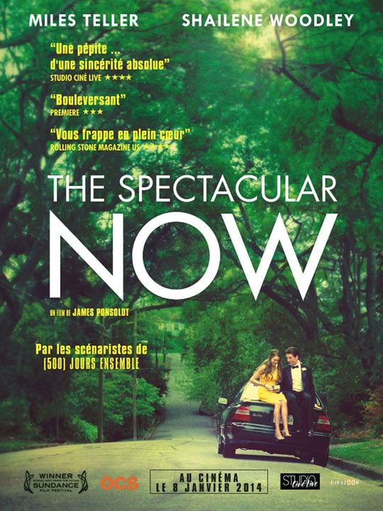 The Spectacular Now - Perfekt ist Jetzt : Kinoposter