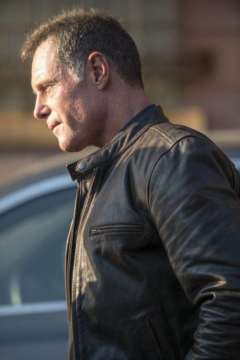Chicago PD : Bild Jason Beghe
