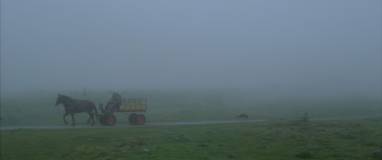 The Good Life : Bild