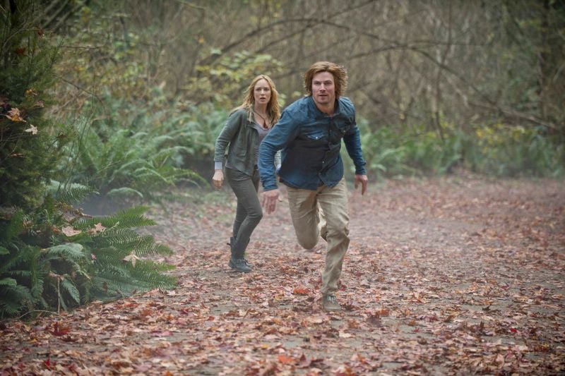 Arrow : Bild Stephen Amell