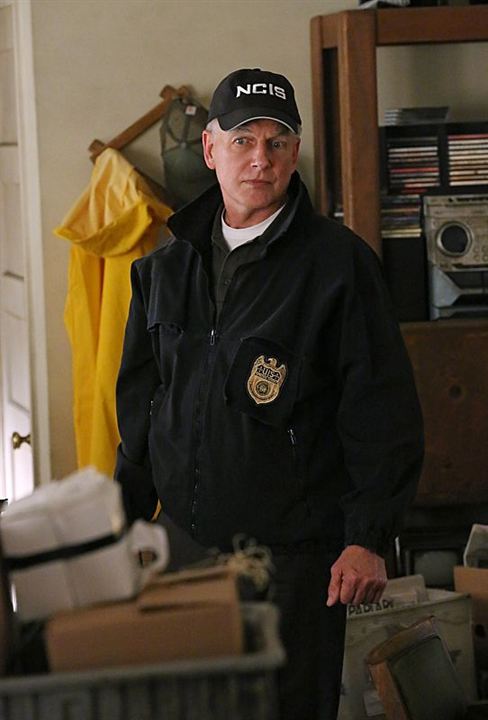 Navy CIS : Bild Mark Harmon