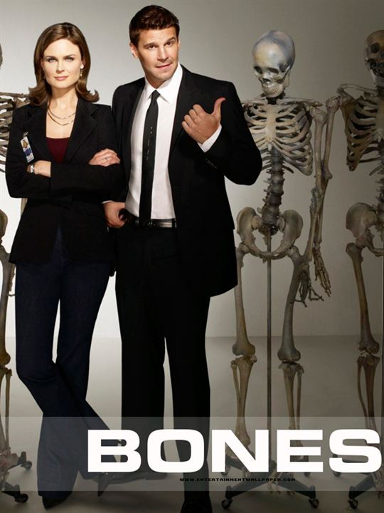 Bones - Die Knochenjägerin : Kinoposter
