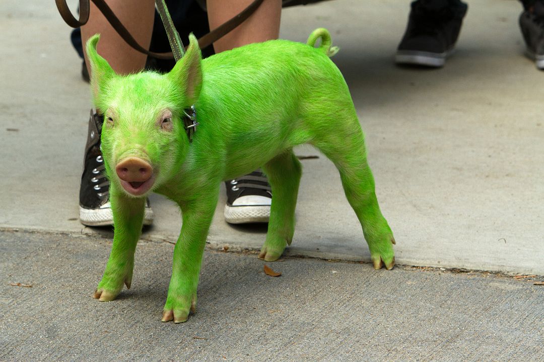 Die kleinen Superstrolche retten den Tag : Bild