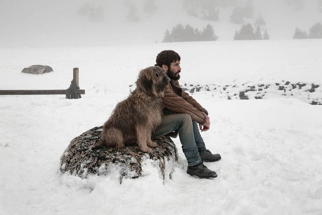 Kamikaze : Bild Álex García (II)