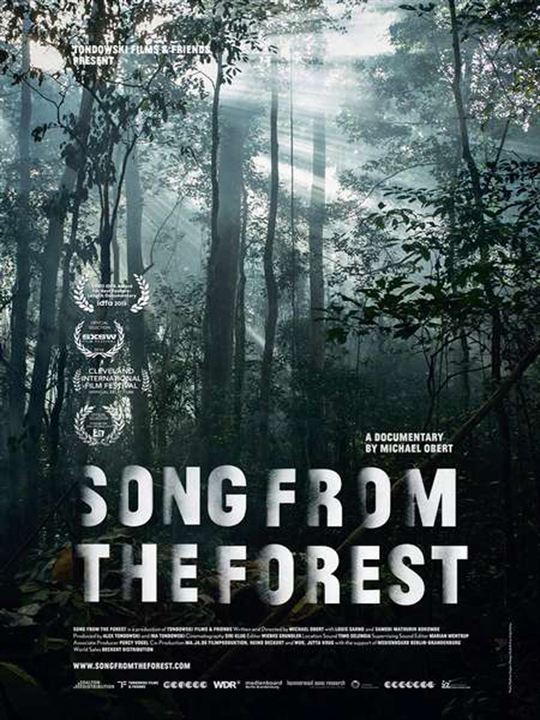 Song from the Forest : Kinoposter