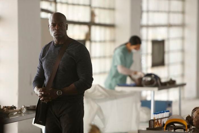 The Blacklist : Bild Hisham Tawfiq
