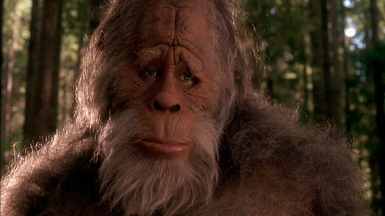 Bigfoot und die Hendersons : Bild