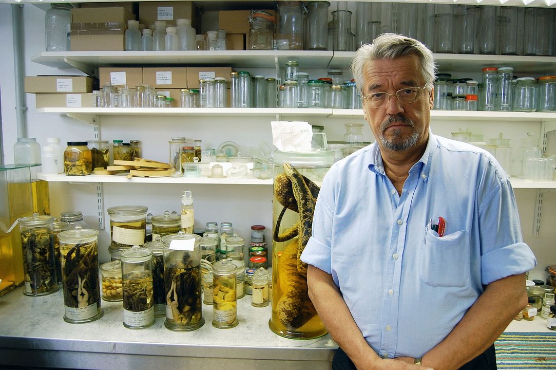 Vom Ordnen der Dinge : Bild