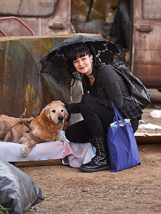 Navy CIS : Bild Pauley Perrette