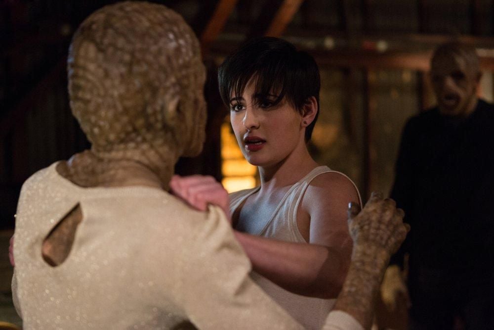 Grimm : Bild Jacqueline Toboni