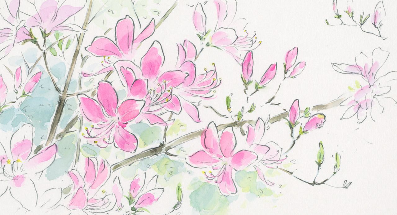 Die Legende der Prinzessin Kaguya : Bild