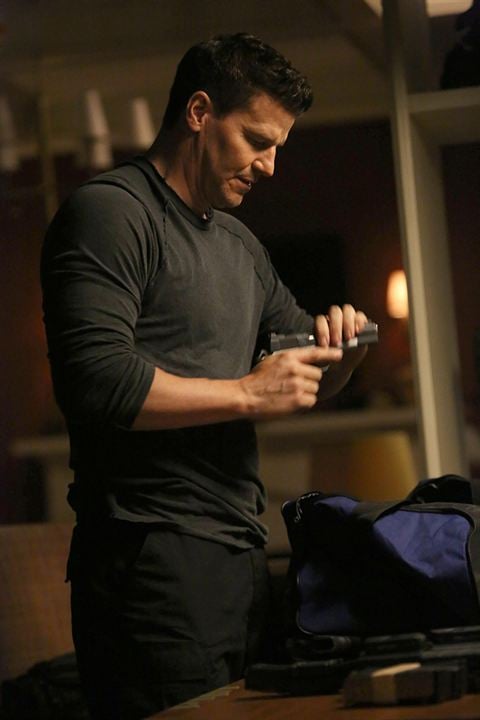 Bild David Boreanaz