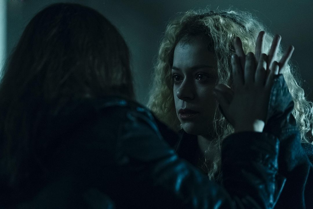 Orphan Black : Bild Tatiana Maslany