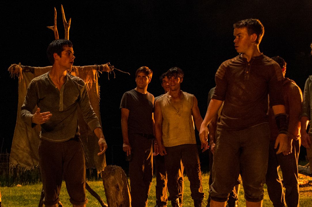 Maze Runner - Die Auserwählten im Labyrinth : Bild Will Poulter, Dylan O'Brien