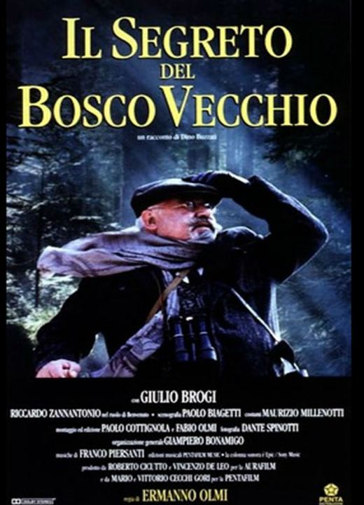 Il Segreto del bosco vecchio : Kinoposter