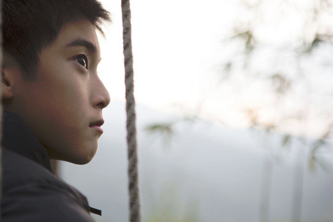 Shu Jia Zuo Ye : Bild