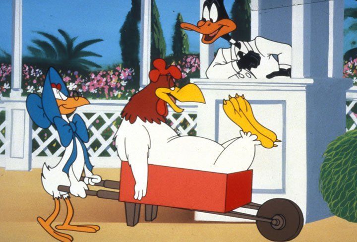 Daffy Ducks fantastische Insel : Bild