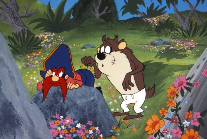 Daffy Ducks fantastische Insel : Bild