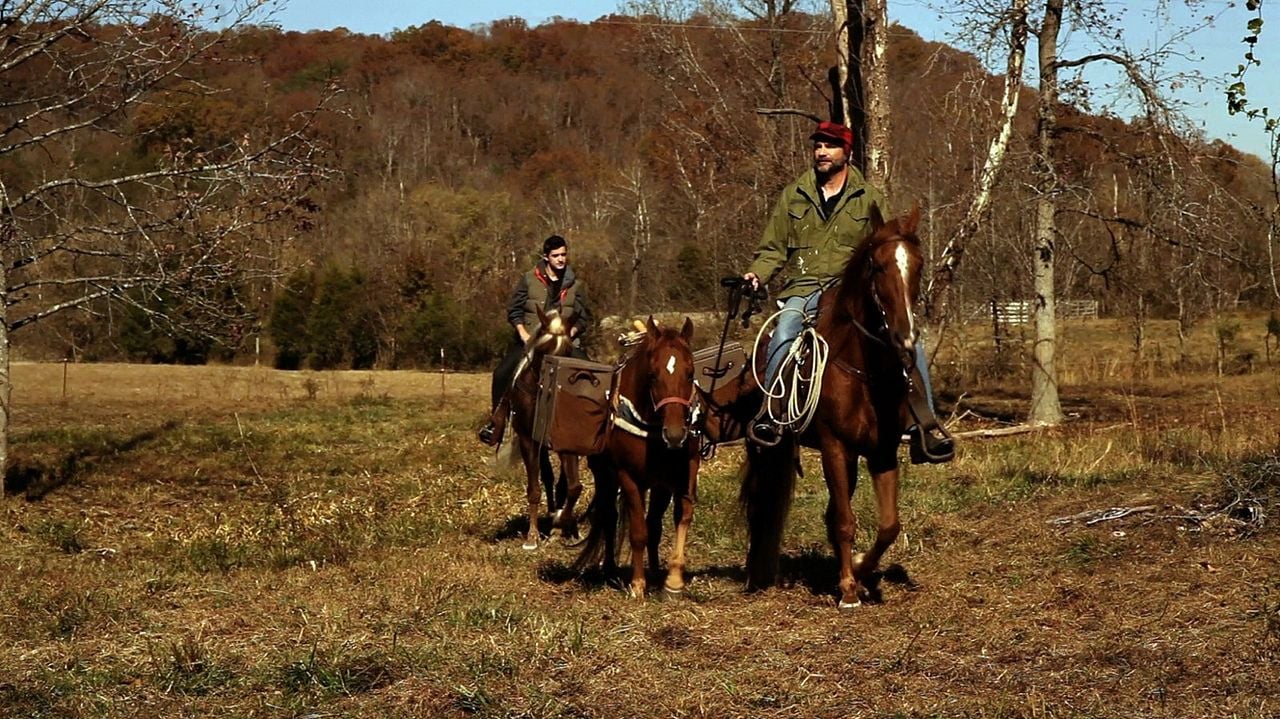 Stunde der Entscheidung : Bild