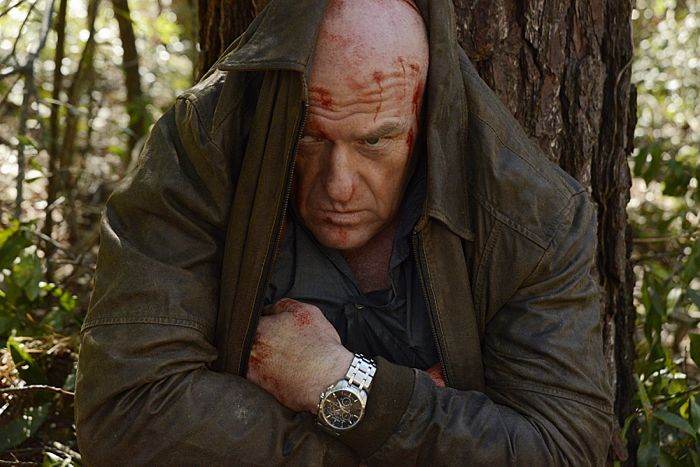 Under The Dome Bild Dean Norris Von Filmstarts De