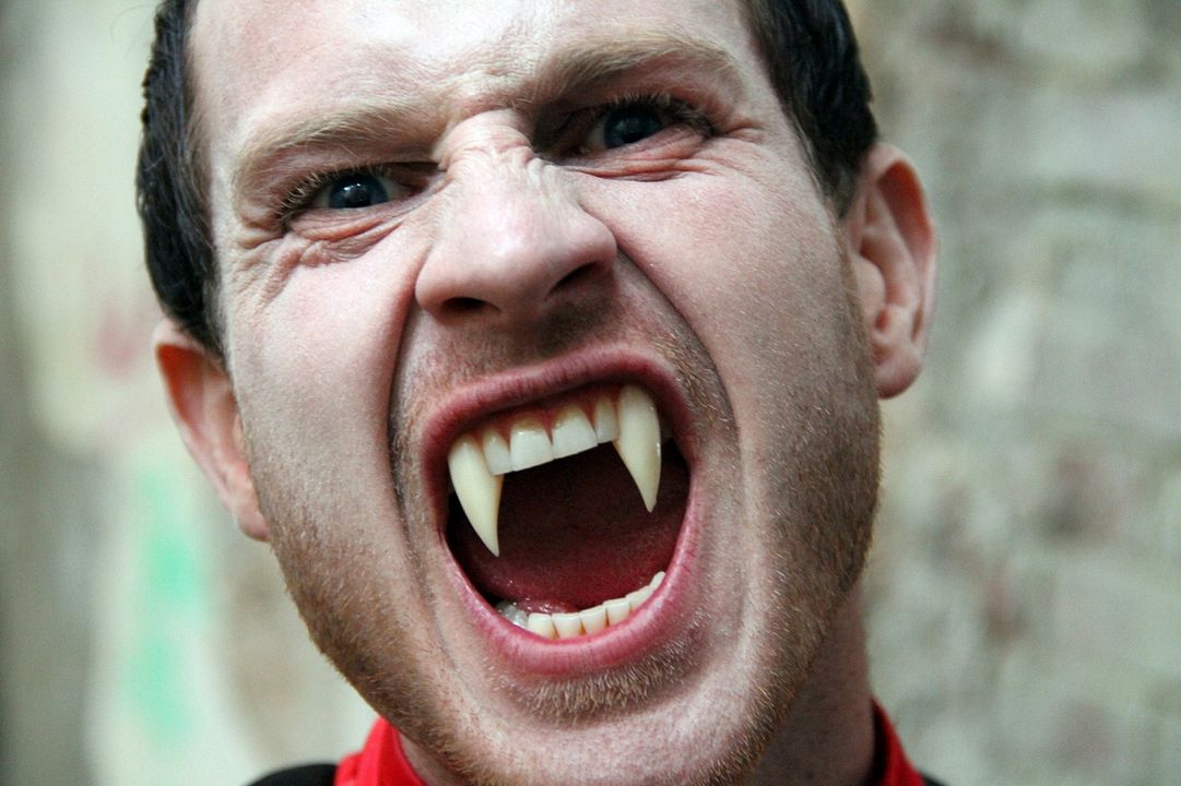 Dracula - The Dark Lord : Bild Mitch Powell