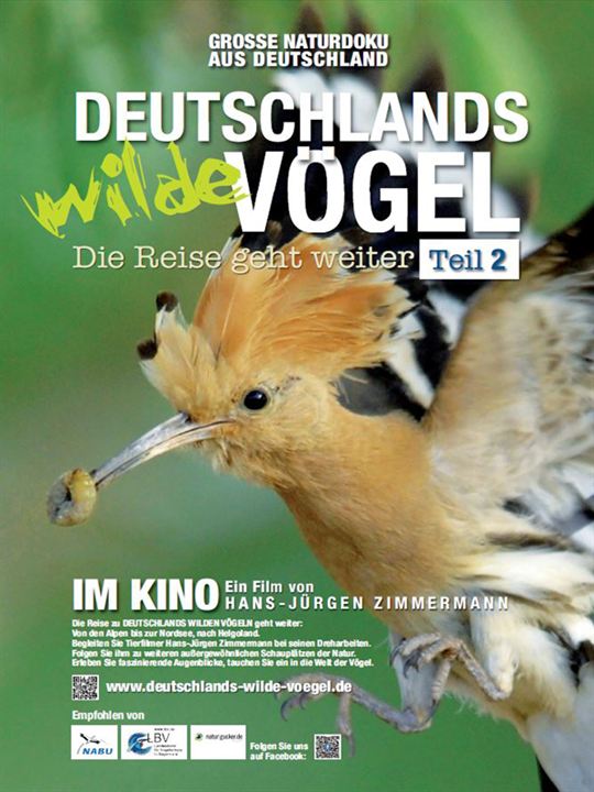 Deutschlands wilde Vögel - Teil 2 - Die Reise geht weiter : Kinoposter