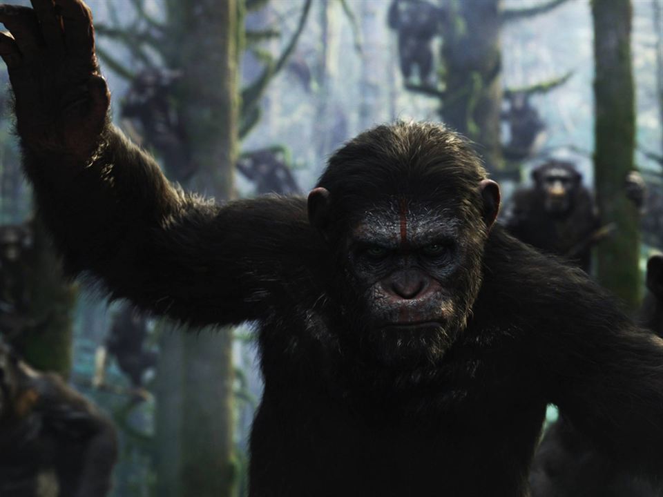 Planet der Affen 2: Revolution : Bild