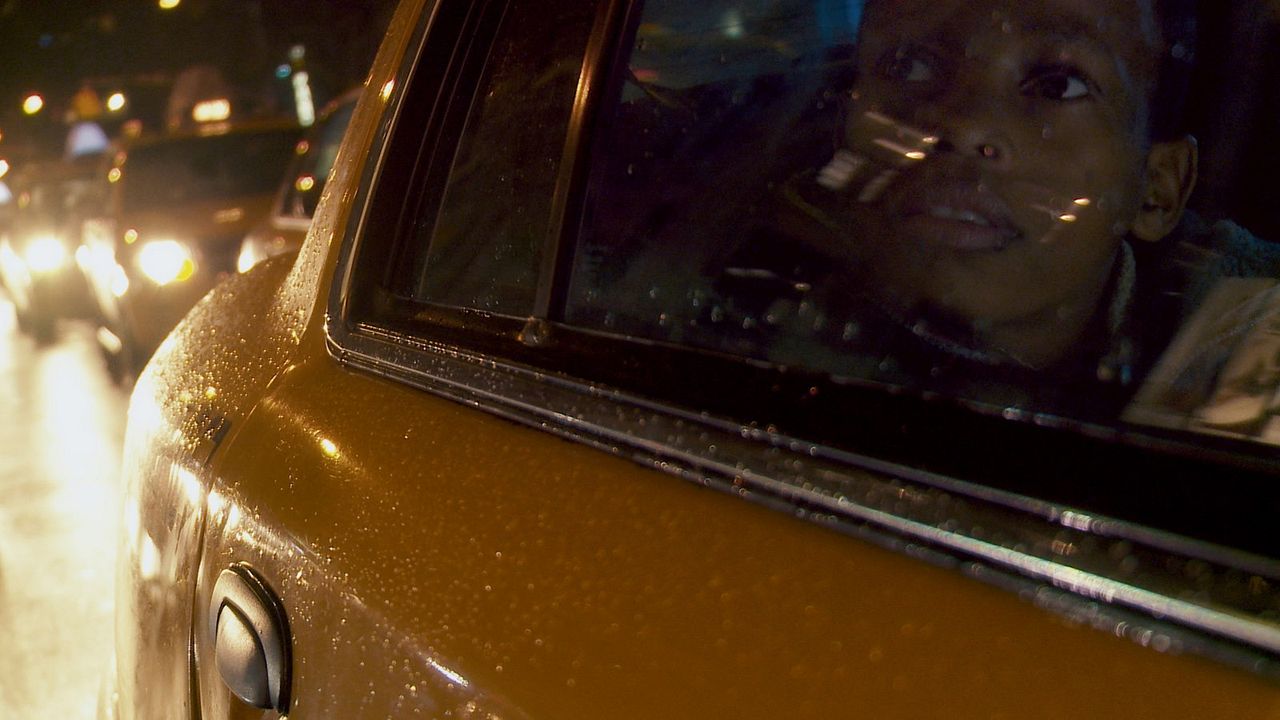 Song from the Forest : Bild