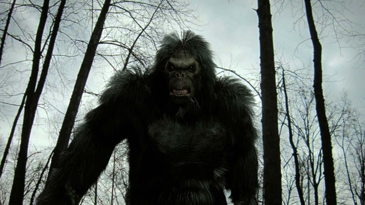 Bigfoot - Die Legende lebt! : Bild