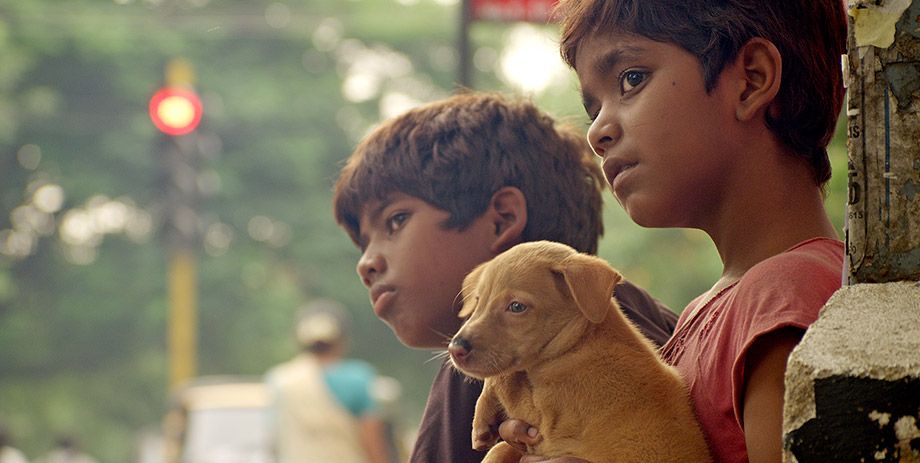 Kaakka Muttai : Bild