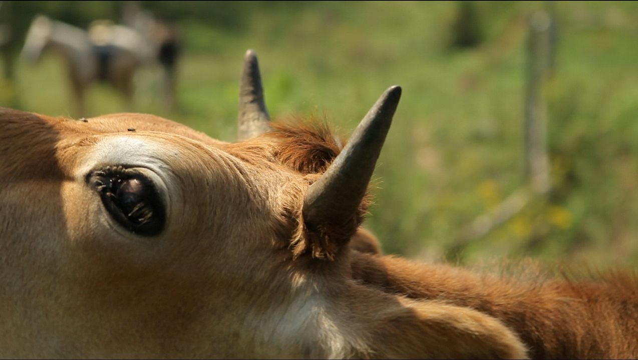 Thou Wast Mild & Lovely : Bild