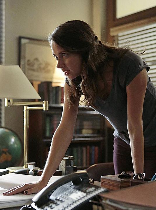 Person Of Interest : Bild Amy Acker