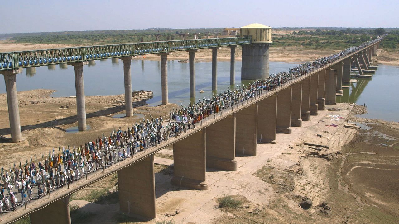 Millions Can Walk : Bild