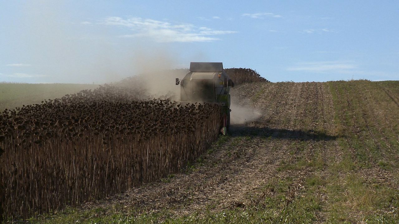 Macht Energie : Bild