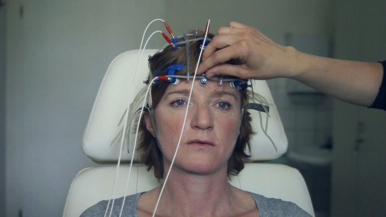 Die Zeit vergeht wie ein brüllender Löwe : Bild