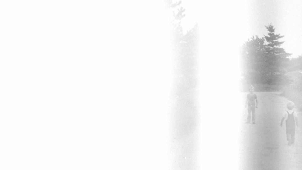 Die Zeit vergeht wie ein brüllender Löwe : Bild