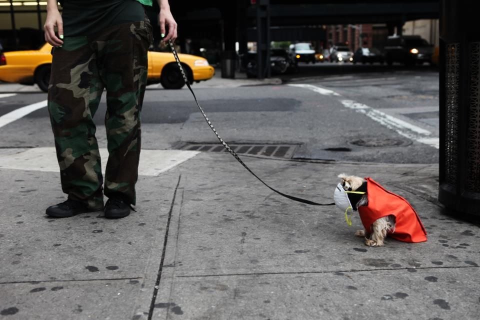 Seewatchlook , O que você vê quando olha o que enxerga? : Bild