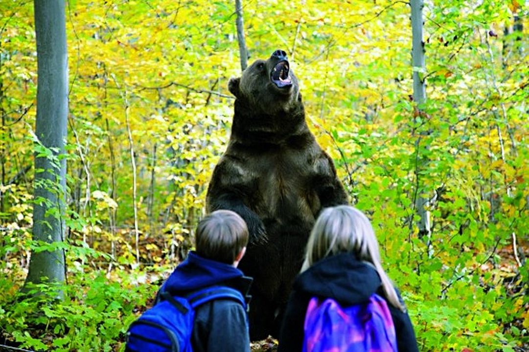 Kleine Helden, große Wildnis : Bild