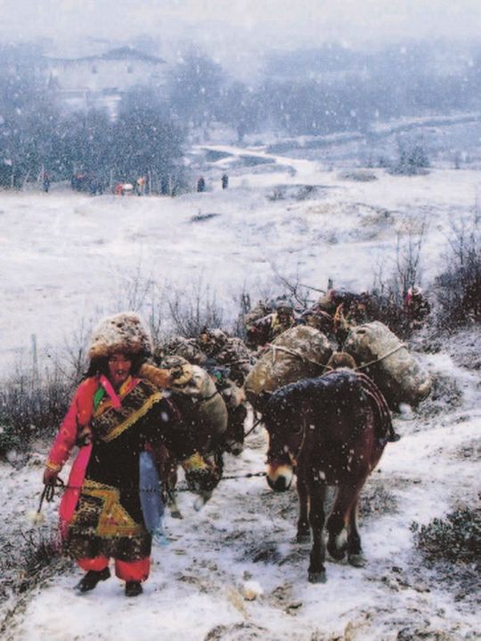 The Tea Road : Kinoposter