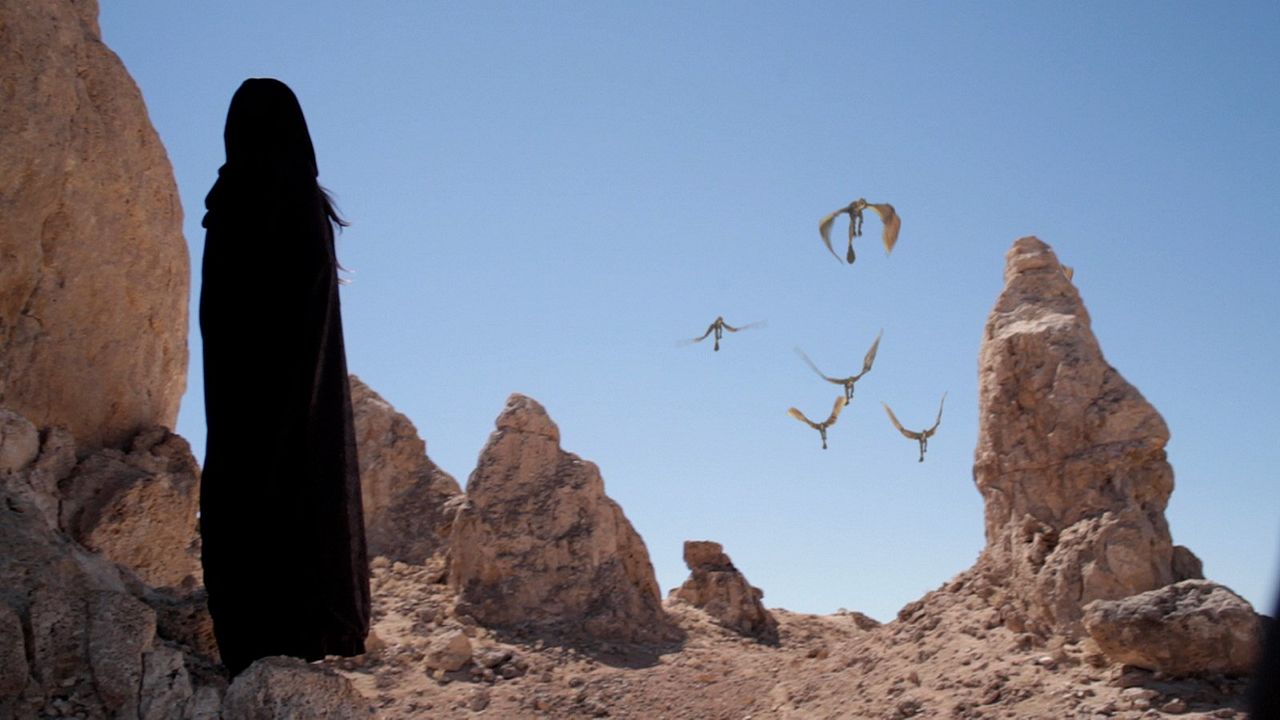 P-51 Dragon Fighter : Bild