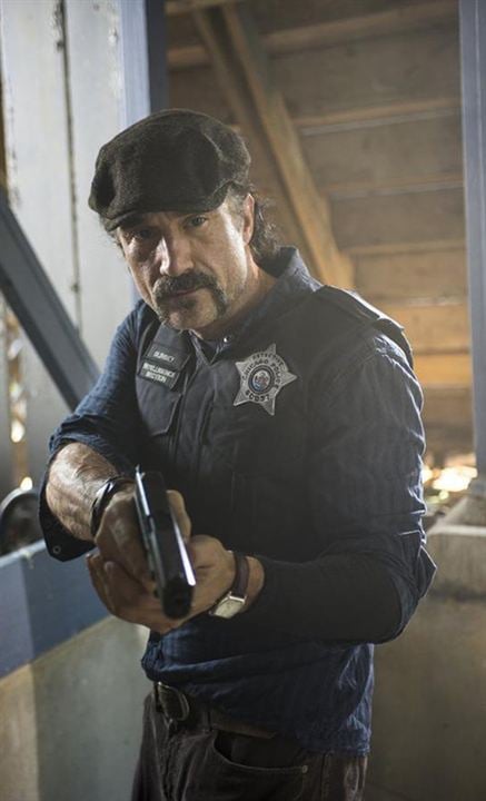 Chicago PD : Bild Elias Koteas