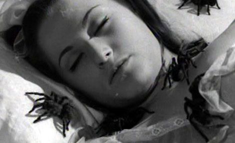 This Night I'll Possess Your Corpse : Bild