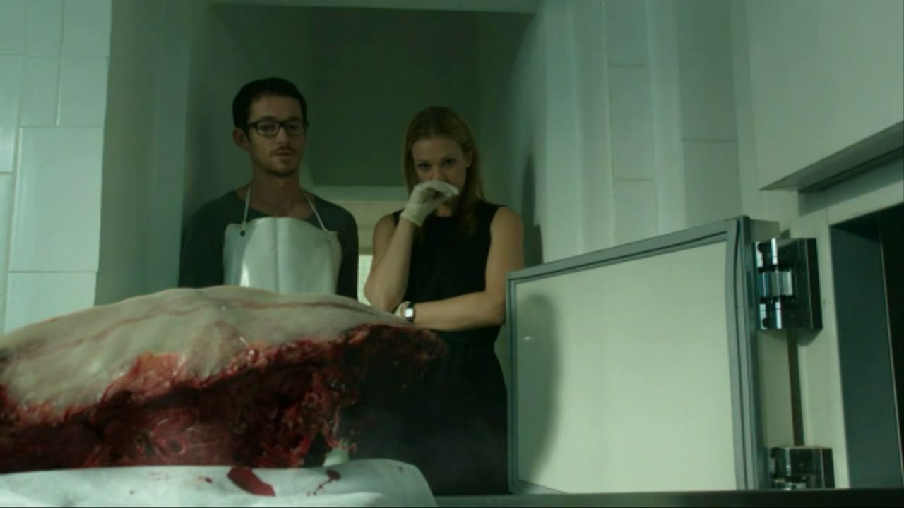 Wer - Das Biest in dir : Bild