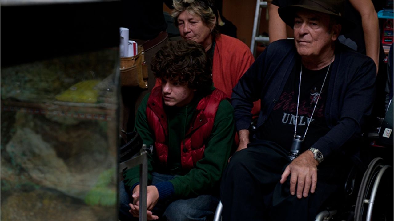 Sedia elettrica : Bild