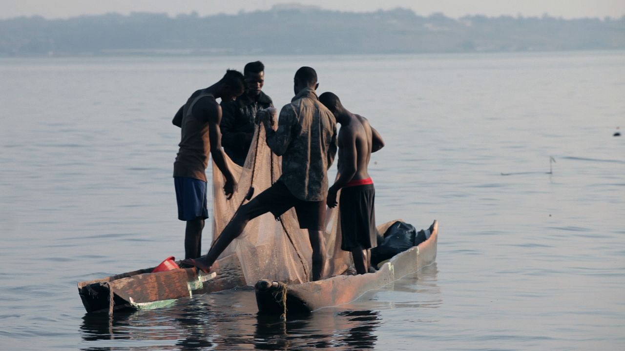 Plot for Peace : Bild