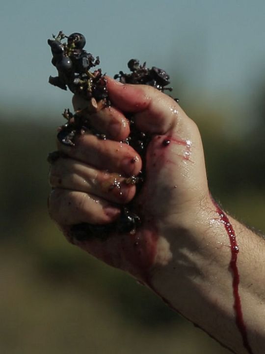 Von Trauben und Menschen : Kinoposter