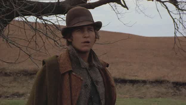 In schlechter Gesellschaft : Bild